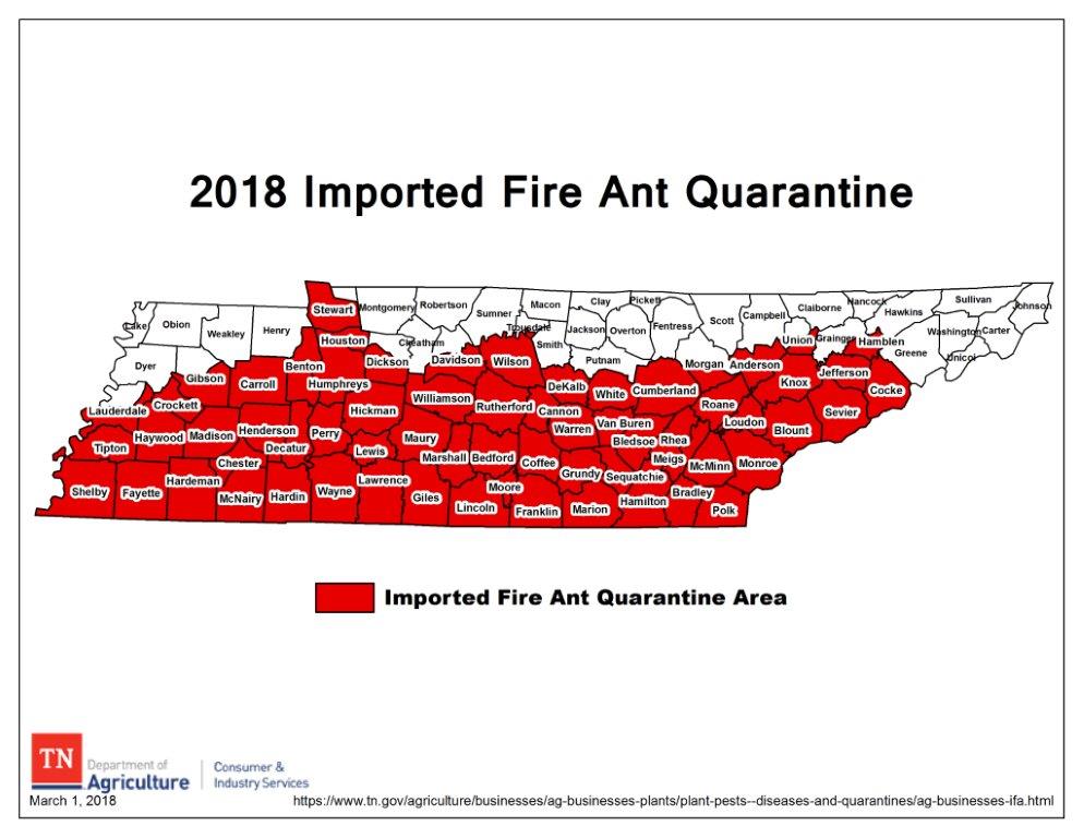 Fire ants in Tennessee by region - Johnson Pest Control