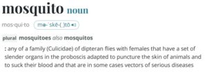 Mosquito Plural Spelling from Meriam Webster Dictionary | Mosquitos vs Mosquitoes