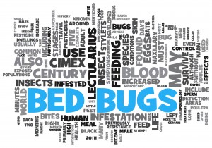 Worst Bed Bug Cities of 2013
