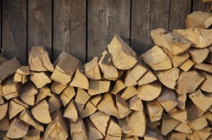 Bugs In My Firewood? Putting logs against a home can bring bugs and rodents closer to your home.