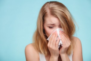 Pests and Insects and cause indoor allergies to kick in just as bad as outdoor allergies