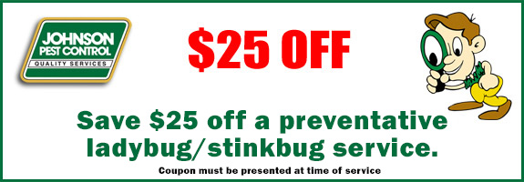 ladybug coupon