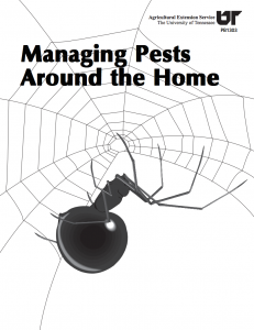 Managing House Pests - House Bugs 