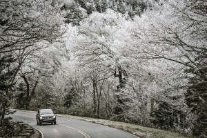 The Smoky Mountains are beautiful in the winter, but it also is a sign that pests are trying to get indoors. How can you keep pests outdoors?