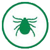 Green tick pest icon