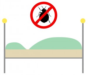 Tips to Prevent Bed Bugs In Your Home | Johnson Pest Exterminators Knoxville, Maryville, Sevierville
