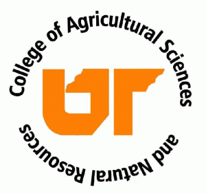University of Tennessee Scholarship to help students to kill bed bugs