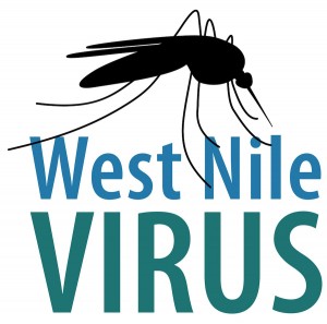 West Nile Virus Word Cloud