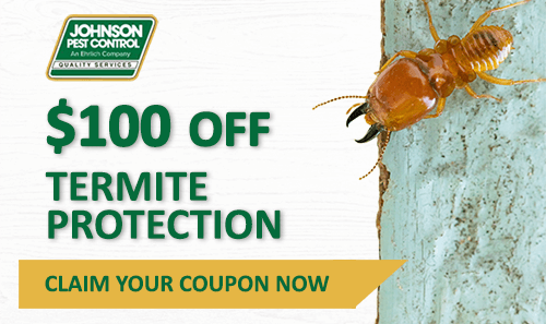 termite protection 100 off