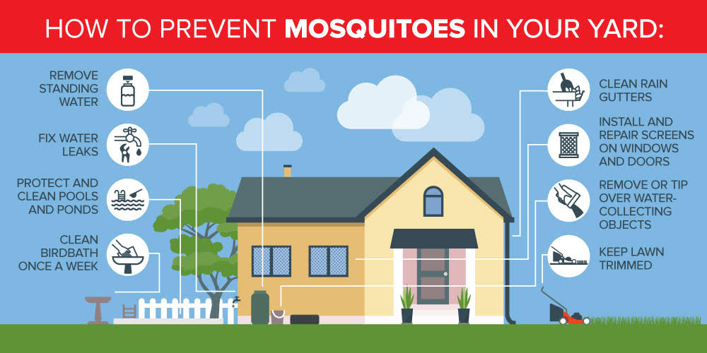 Mosquito prevention tips for homes in the Sevierville TN area - Johnson Pest Control