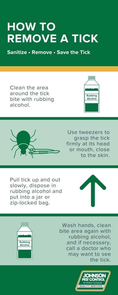 Tick removal guide - Johnson Pest Control in Sevierville TN 