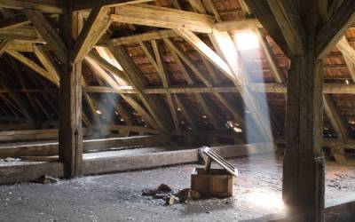 Inspecting an attic for pests in Eastern TN - Johnson Pest Control