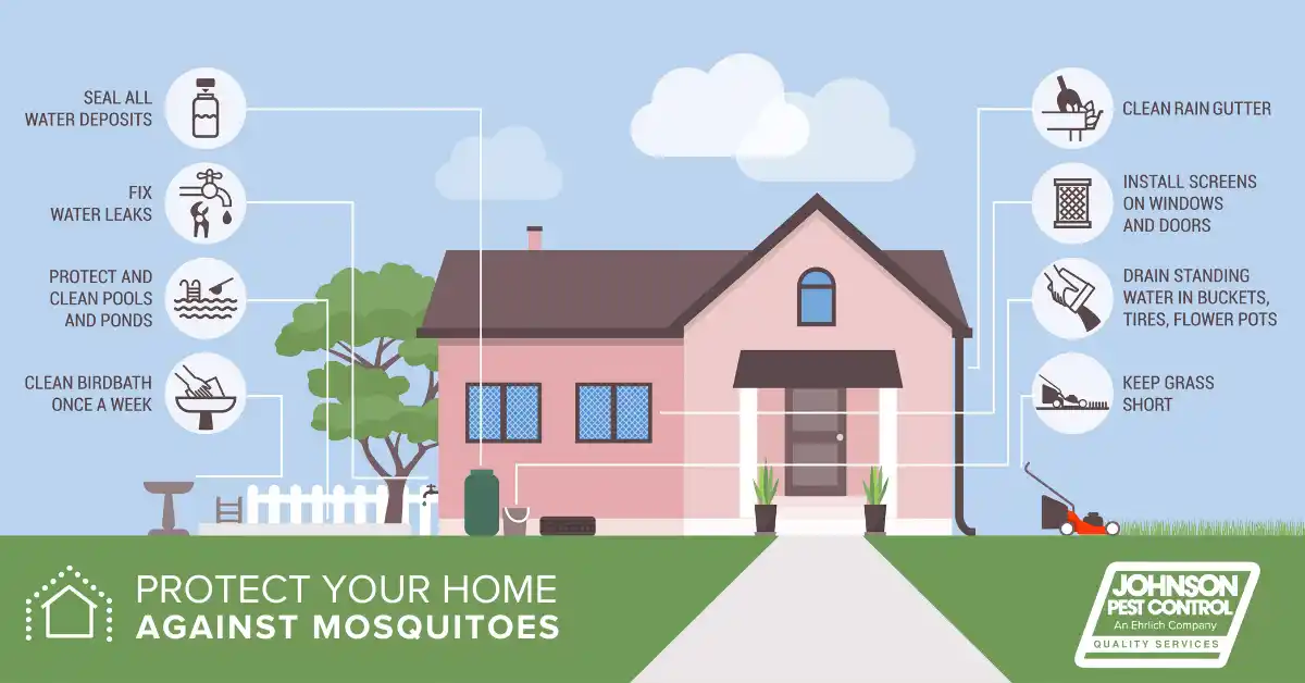 how to protect your home against mosquitoes infographic - keep mosquitoes away from your home with Johnson Pest Control in TN