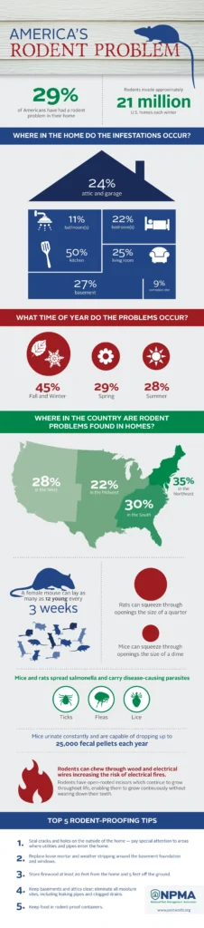 America's rodent problem infographic - keep rodents away from your home with Johnson Pest Control in TN