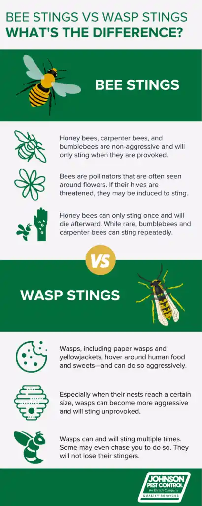 Bee vs wasp sting infographic in Sevierville TN - Johnson Pest Control