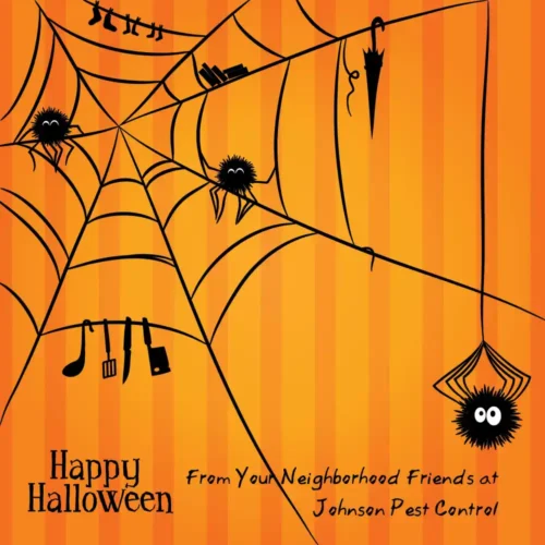 Halloween card from johnson pest control