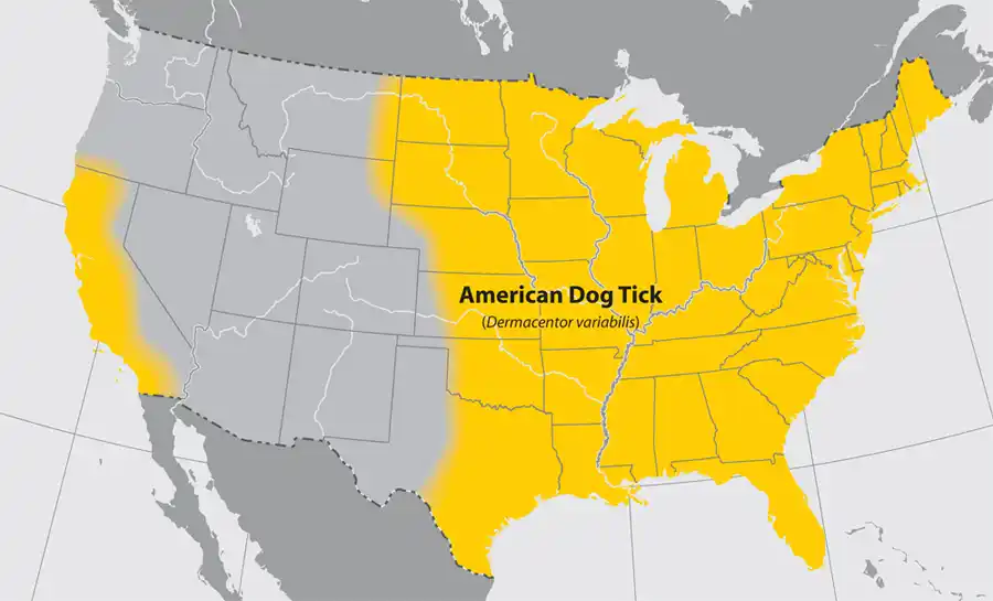 Map of the united states with states highlighted to show american dog tick habitat - keep ticks away from your home with Johnson Pest Control in TN