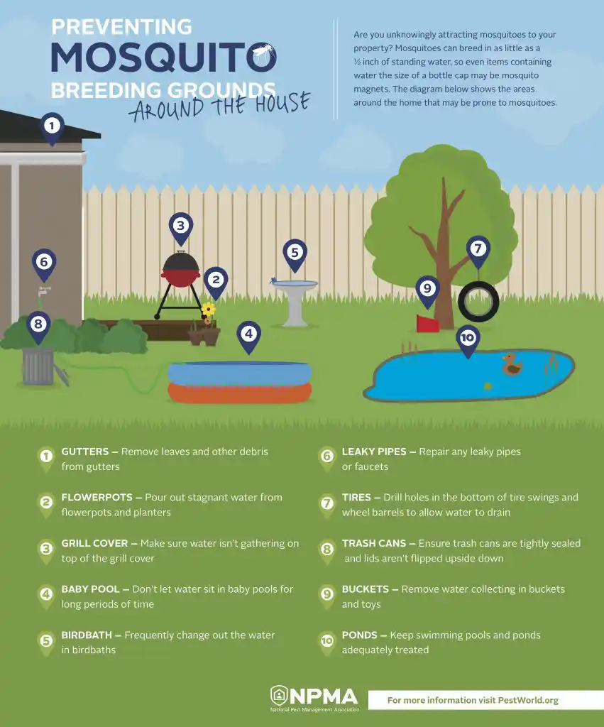 Preventing mosquito breeding grounds around the house infographic - keep pests away from your home with Johnson Pest Control in TN