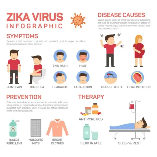 The symptoms, prevention and treatment infographic for the Zika Virus - keep pests away from your home with Johnson Pest Control in TN