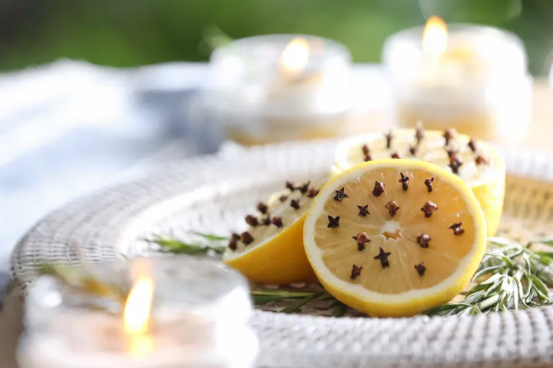 Lemons with cloves on a plate with rosemary trying to keep pests away.